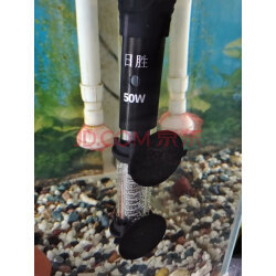 加熱棒海水哪款好？實拍評測助你選購優(yōu)質魚缸加熱棒