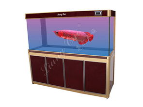 1米小彎底濾魚缸 打造理想水族環境的必備寵物配件