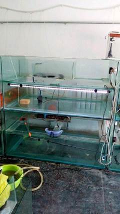 太原魚缸低價轉讓 1.5米長1米寬，寵物愛好者的不容錯過之選