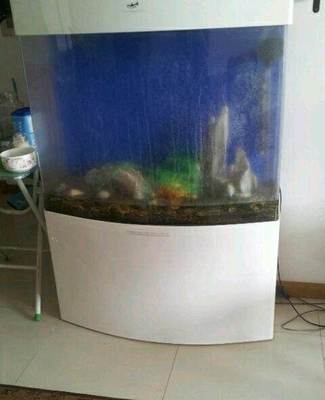 八成新熱帶魚魚缸轉讓，含配套小工具，適合新手入門