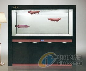 成都托田經典水族用品廠 魚缸輔助用品及配件產品報價與供應商優勢解析