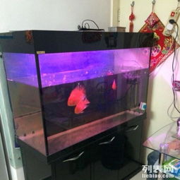 一米二魚缸及全套配件轉讓