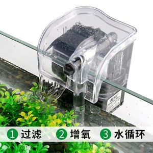 養魚之道 不可或缺的魚缸輔助用品及配件詳解